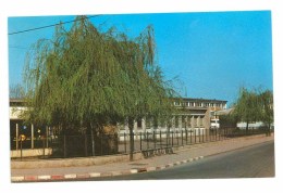 57 - TALANGE - Le Groupe Scolaire Irène Et Frédéric Joliot - Talange