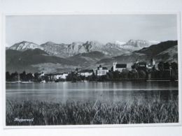 Rapperswil Panorama Old Postcard - Rapperswil-Jona