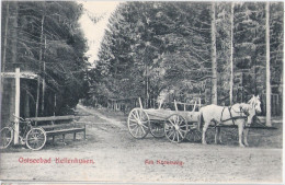 KELLENHUSEN A Kreuzweg Im Wald Fahrrad Am Wegweiser 2 Schimmel Pferde Wagen 7.7.1908 Gelaufen - Kellenhusen
