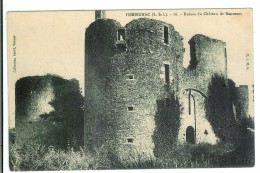 HERBIGNAC - Ruines Du Château De Ranrouet - Herbignac