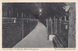 1932  Rémich " Caves Saint Martin  " Réserves Des Bouteilles - Remich