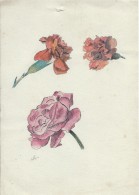 Dessin D´amateur/Plume Et Aquarelle/L RACLET/Non Encadré/Fleurs/Oeillets Et Rose/Vers 1930   GRAV146 - Andere & Zonder Classificatie