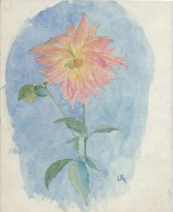 Dessin D´amateur/Aquarelle/L RACLET/Non Encadré/Fleur/ Dahlia Décoratif/ Vers 1950    GRAV161 - Aquarel