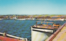 Prince Edward Island - Fishing Fleet - North Rustica - Boats - Unused - 2 Scans - Otros & Sin Clasificación
