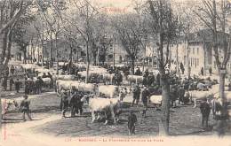 Mazères     09          Jour De Foire. Marché Aux Boeufs - Autres & Non Classés