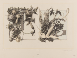 Martin GERLACH - Festons. Groupes Décoratifs Et Lettres Composés De Plantes Naturelles, D'animaux Et De Di - Zonder Classificatie