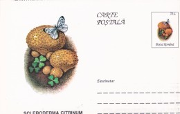 ERROR, DISPLACES IMAGE, POSTCARD STATIONERY, ENTIERE POSTAUX,BUTTERFLY,MUSHROOMS, 1996, ROMANIA - Plaatfouten En Curiosa