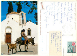 Donkey, Crete, Greece Postcard Posted 1998 Stamp - Griekenland