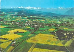 Münsingen - Luftbild Gegen Die Alpen         Ca. 1970 - Münsingen