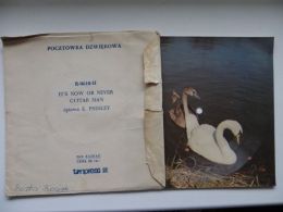 Polish Flexi Card / Its Now Or Never / Guitar Man   / E PRESLEY Very Rare - Formats Spéciaux