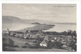 15346 - Cerlier Et L'Ile St-Pierre - Cerlier