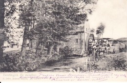 Beringen :le Moulin / Watermolen -1905  (Z151) - Beringen