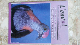 N°62 NOVEMBRE 2003 - L' Envol Magazine De La Fédération Française D' ORNITHOLOGIE - OISEAUX - Animals