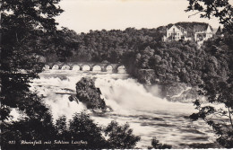 Ph-CPSM Suisse Dachsen (ZU Zurich) Rheinfall Mit Schloss Laufen - Laufen-Uhwiesen 