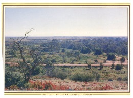 (642) Australia - NSW - Broken Hill - Silverton - Outback