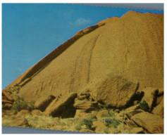 (642) Australia - NT - Ayers Rock (Uluru) Kangaroo Tail - Uluru & The Olgas