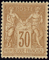 No 80, Brun Jaune. - TB - 1876-1898 Sage (Type II)