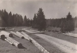 Paysage Du Haut-Doubs - Autres & Non Classés