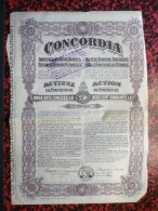 Concordia Action De 250 Lei 31 Aout 1921 - A - C
