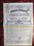 Concordia Actions De 250 Lei 30 Avril 1924 7 Actions - A - C