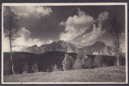 AUSTRIA ,  SEEFELD ,  OLD  POSTCARD - Seefeld