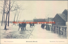 Moerzeke-Broek - Hamme