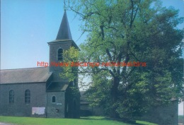 L'Eglise Et Le Tilleul De Plus De 400 Ans - Omezée - Philippeville