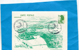 Marcophilie-carte Entier Postal 1.80 Marianne Gandon-cad 1986+illustration-journée Du Chien-51-SUIPPES - AK Mit Aufdruck (vor 1995)