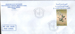 Egypt - Envelope Occasionally 2006 - 25th African Cup Of Nations ,Soccer Tournament - Coupe D'Afrique Des Nations