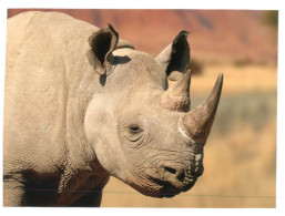 (166) WWF Rhinoceros - Rhinocéros