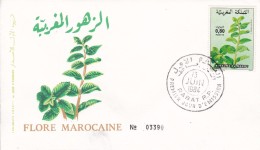 Maroc - Lettre - Morocco (1956-...)