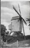 CPSM Moulin à Vent Circulé Hofland Nord - Windmühlen