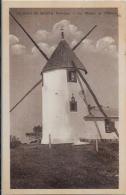 CPSM Moulin à Vent Circulé Saint Jean De Monts - Windmills