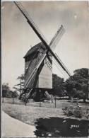 CPSM Moulin à Vent écrite CASSEL - Windmills