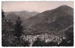 Alpes Maritimes 06 - ROQUEBILLIERE Vue Générale Des Deux 2 Villages En Noir Et Blanc Avec Montagnes En Fond Edition Cap - Roquebilliere