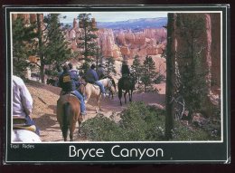CPM Animée Etats Unis Brice Canyon Trail Ridge Chevaux - Bryce Canyon