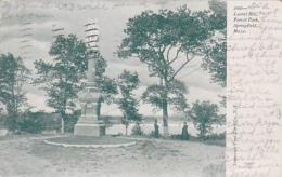 Massachusetts Springfield Laurel Hill Forest Park 1907 - Springfield