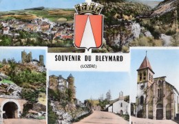 SOUVENIR DU BLEYMARD MULTIVUES - Le Bleymard