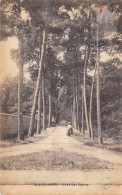 CPA 95 BEAUCHAMPS ALLEE DES SAPINS  1918 - Beauchamp