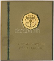 DN 'KPVDSZ 1900-1975 - A Szakszervezet Iránti HÅ±ségért' Br Emlékplakett (102,5x89mm)... - Zonder Classificatie