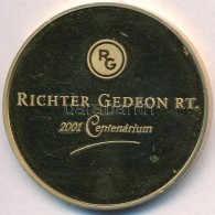 Kósa István (1953-) 2001. 'Richter Gedeon RT. 2001 Centenárium / Egészséges... - Ohne Zuordnung