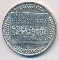 Csúcs Viktória (1934-) DN 'MezÅ‘kövesd' Jelzett Ag Emlékérem (16,80g/0.925/32mm)... - Non Classificati