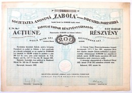 Románia / Bukarest 1922. 'Zabolai Faipar Részvénytársaság'... - Zonder Classificatie