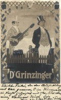 T2 D'Grinzinger Band S: Fischinger - Zonder Classificatie