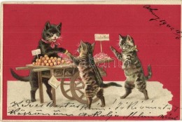 T2/T3 Cats, Costermonger, Humour, Emb. Litho (EK) - Unclassified