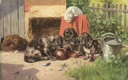 T2/T3 Dog Puppies With Cat, T.S.N. Serie 2050. (EK) - Ohne Zuordnung