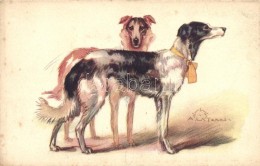 ** T2/T3 Italian Art Postcard, Sighthound Dog Breed, Anna & Gasparini 450-2. S: A. Terzi - Sin Clasificación