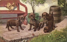 T2/T3 Dog Puppies, T.S.N. Serie 2050. (EK) - Zonder Classificatie