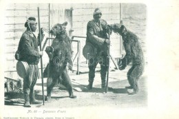 ** T2/T3 No. 66. Danseurs D'ours / Turkish Bear Tamers - Unclassified