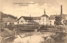 ** T1 Tarnobrzeg, Browar Parowy / Steam Brewery - Unclassified